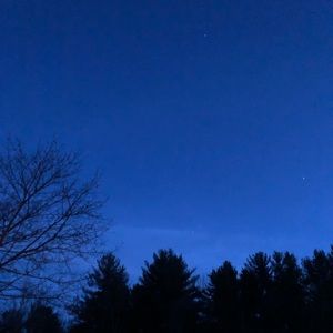 Meet your Posher, Shelby